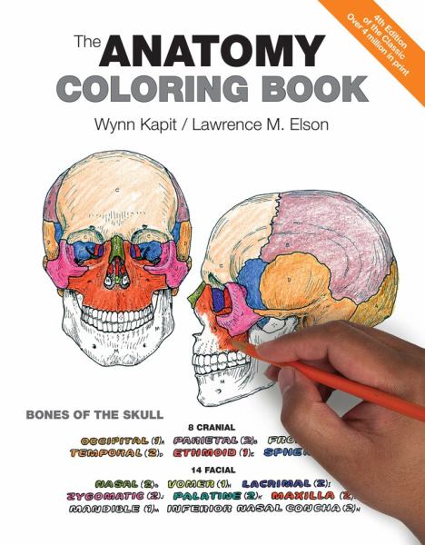 ANATOMY COLORING BOOK 4TH EDITION TRADE