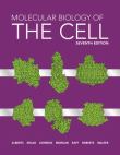 MOLECULAR BIOLOGY OF THE CELL LOOSELEAF 7TH EDITION - ALBERTS