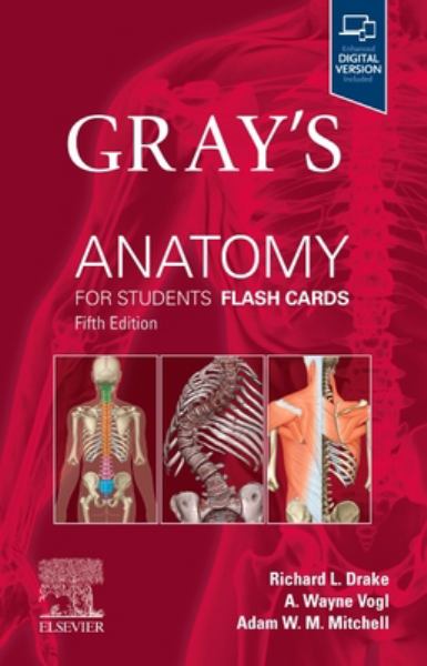 GRAY'S ANATOMY FOR STUDENTS FLASHCARDS 5TH EDITON TRADE