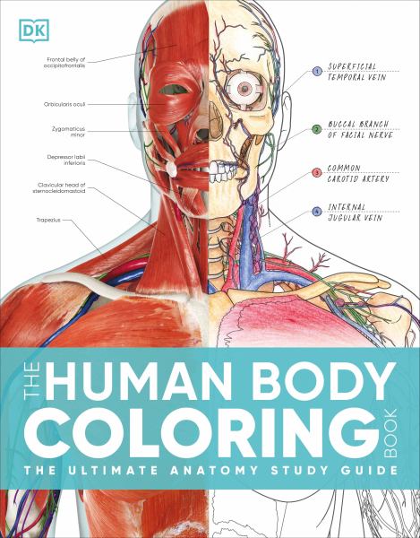 HUMAN BODY COLORING BOOK: THE ULTIMATE ANATOMY STUDY GUIDE 2ND EDITION TRADE