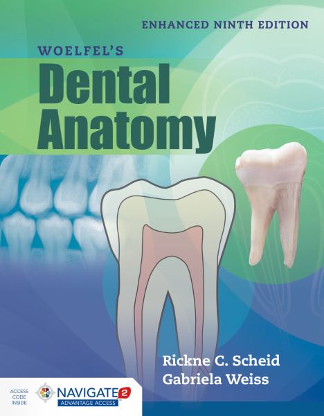 Woelfels Dental Anatomy Enhanced Edition - Scheid