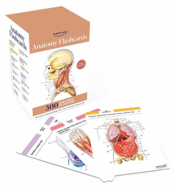 Anatomy Flashcards 5th Edition - Stephanie McCann